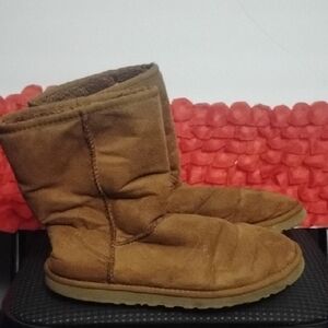 UGG Cozy Chestnut Boots